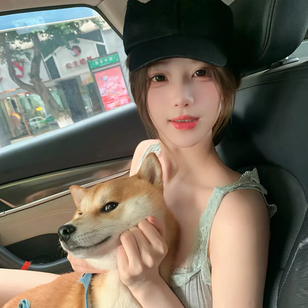 宠物当家